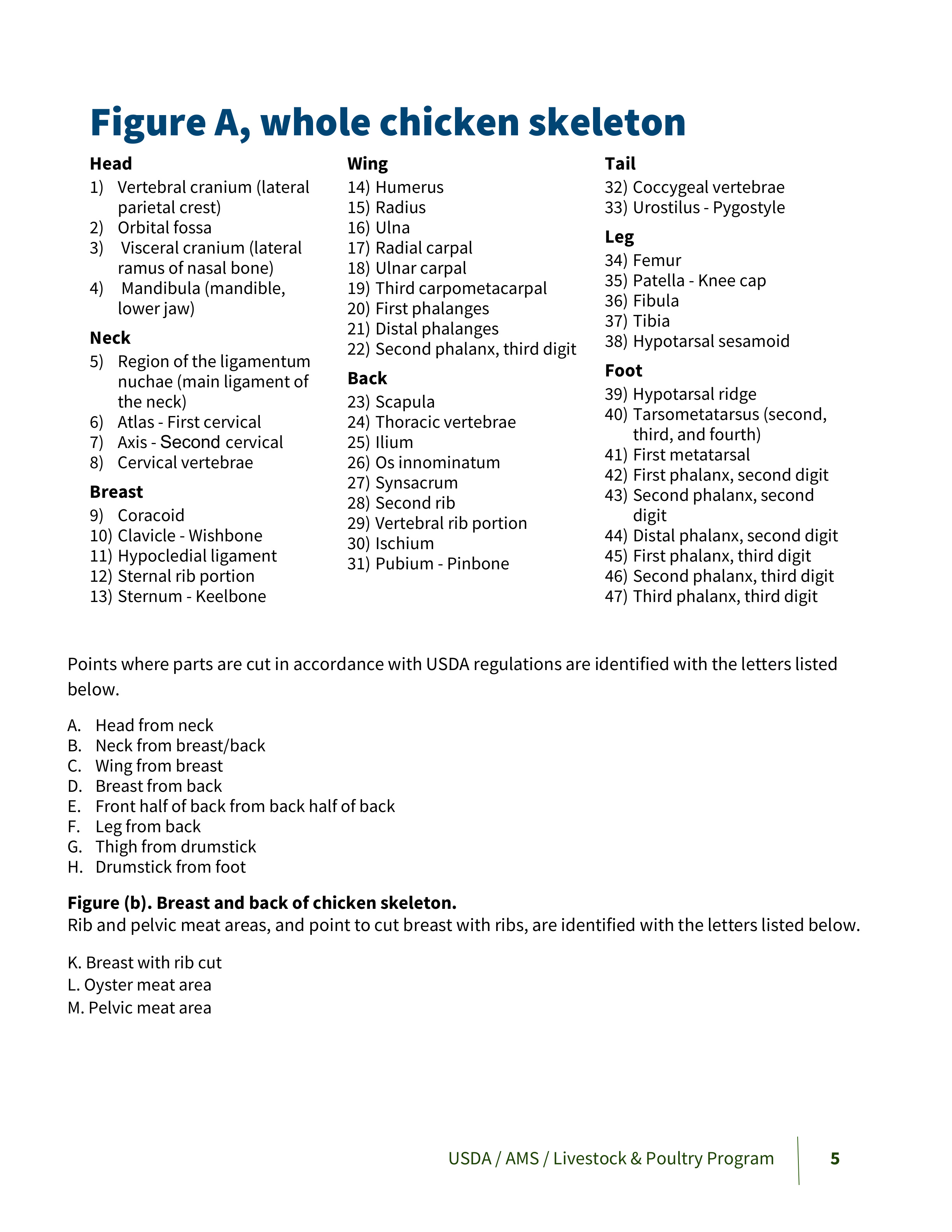 USDA chicken skeleton chart with named bones and lettered poultry cut boundaries, including the breast-with-rib cut.